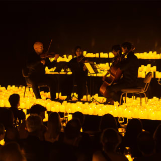 Candlelight Wine: una cata contada a través de la música 6