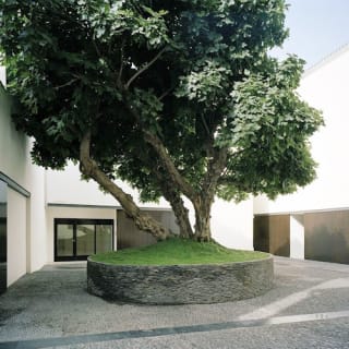 Museo Picasso Málaga: visita guiada 19