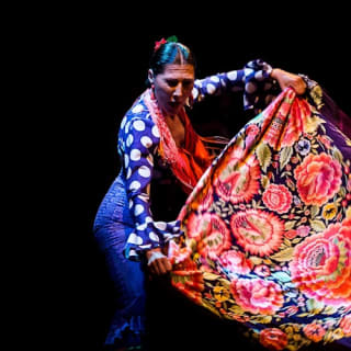 Museo del Baile Flamenco: Entrada + Puro Espectáculo Flamenco 3