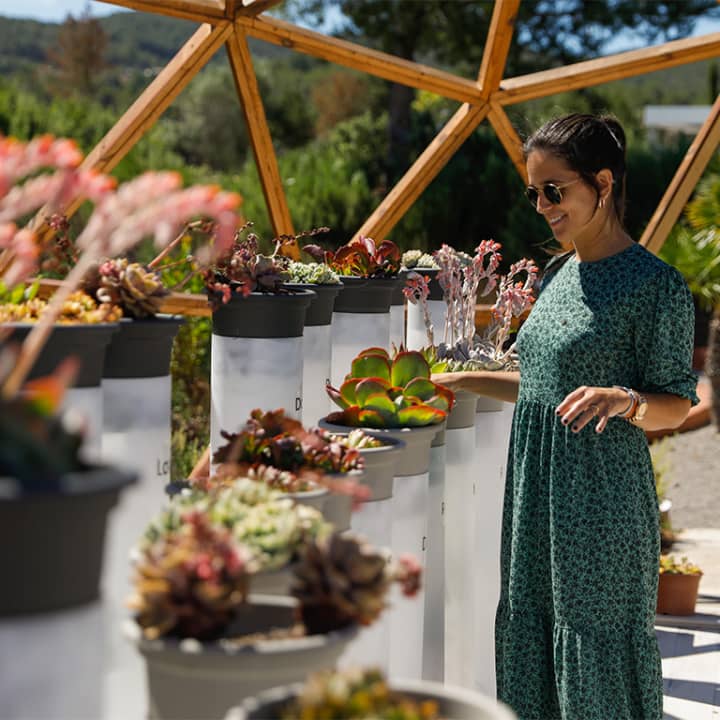 BiBo Park (Ibiza Botánico Biotecnológico)