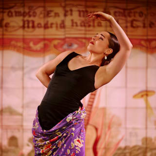 Experiencia Flamenca en la Puerta de Alcalá 7