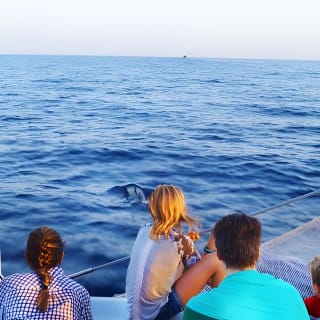 Sunrise Boat Trip in Mallorca with Dolphin-Watching 3