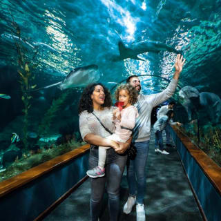 Loro Parque: Entrada 15