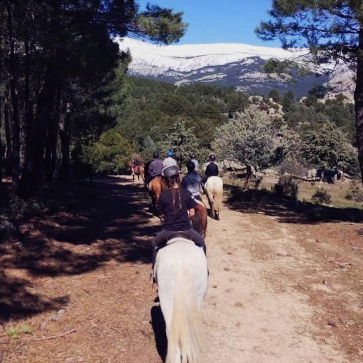 Experiencia a caballo: clases en plena naturaleza