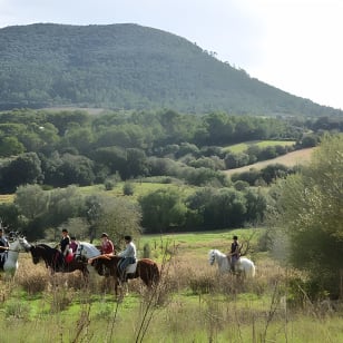 Horseback Riding in Randa Valleys, Mallorca, Spain