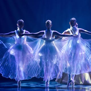 Ballet of Lights - Tarjeta Regalo 4
