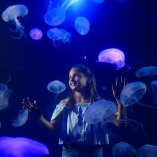 Palma Aquarium: Entrada gratuita + Cine Aquadome 3D opcional 13