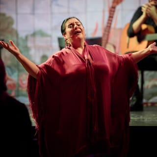 Experiencia Flamenca en la Puerta de Alcalá 10