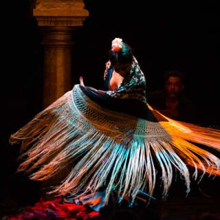 Museo del Baile Flamenco: Solo el espectáculo 9